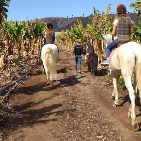 Διαμέρισμα El Peque De Tamaide